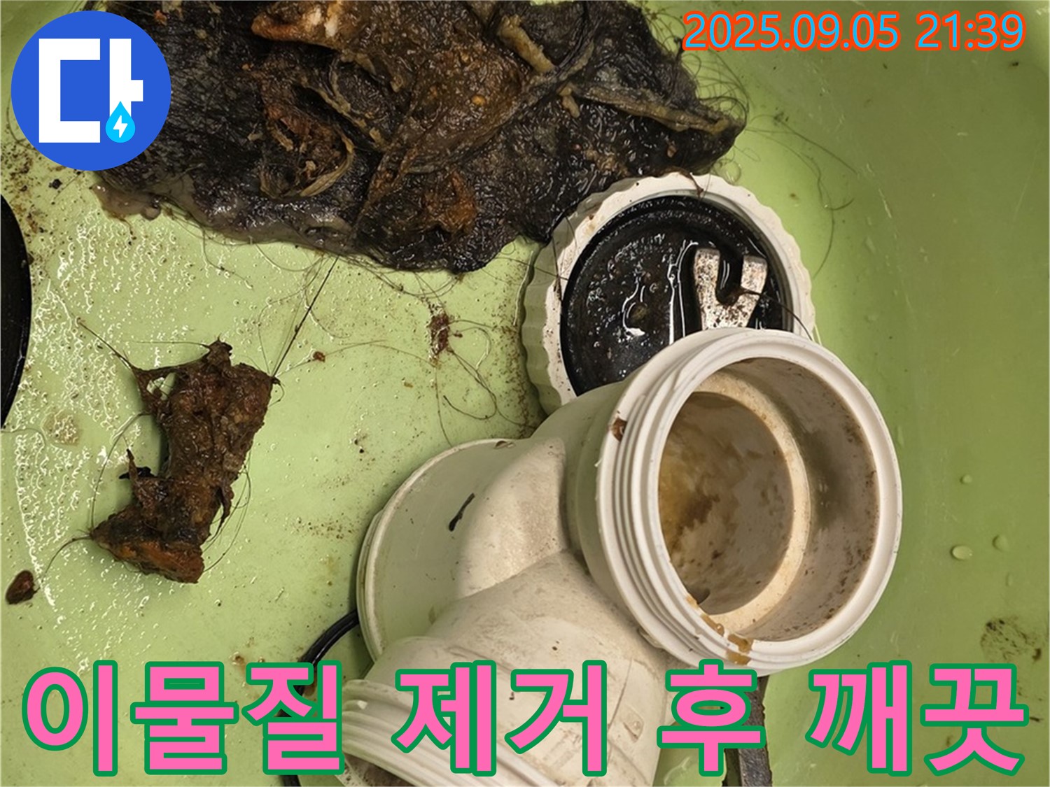 이물질 제거 후 깨끗해진 변기 - 이제 안심하세요!