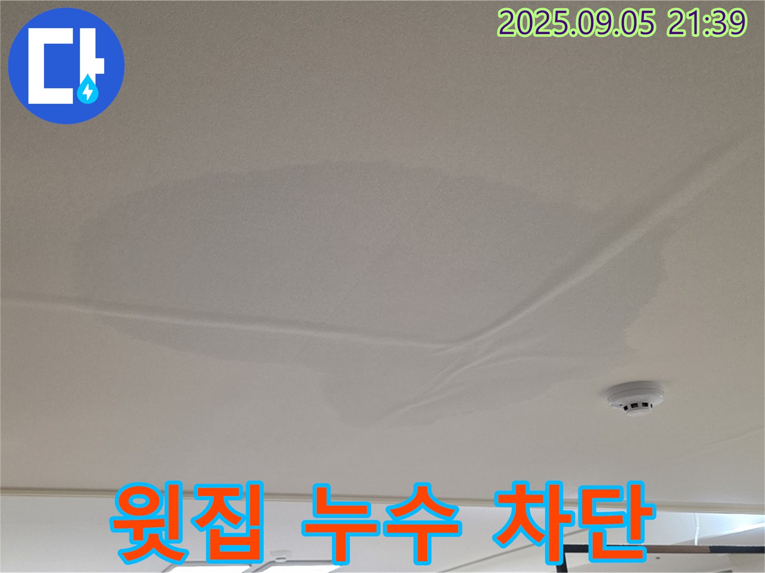 중랑구 면목동 아파트 누수 - 윗집 천장 누수 차단, 젖은 천장