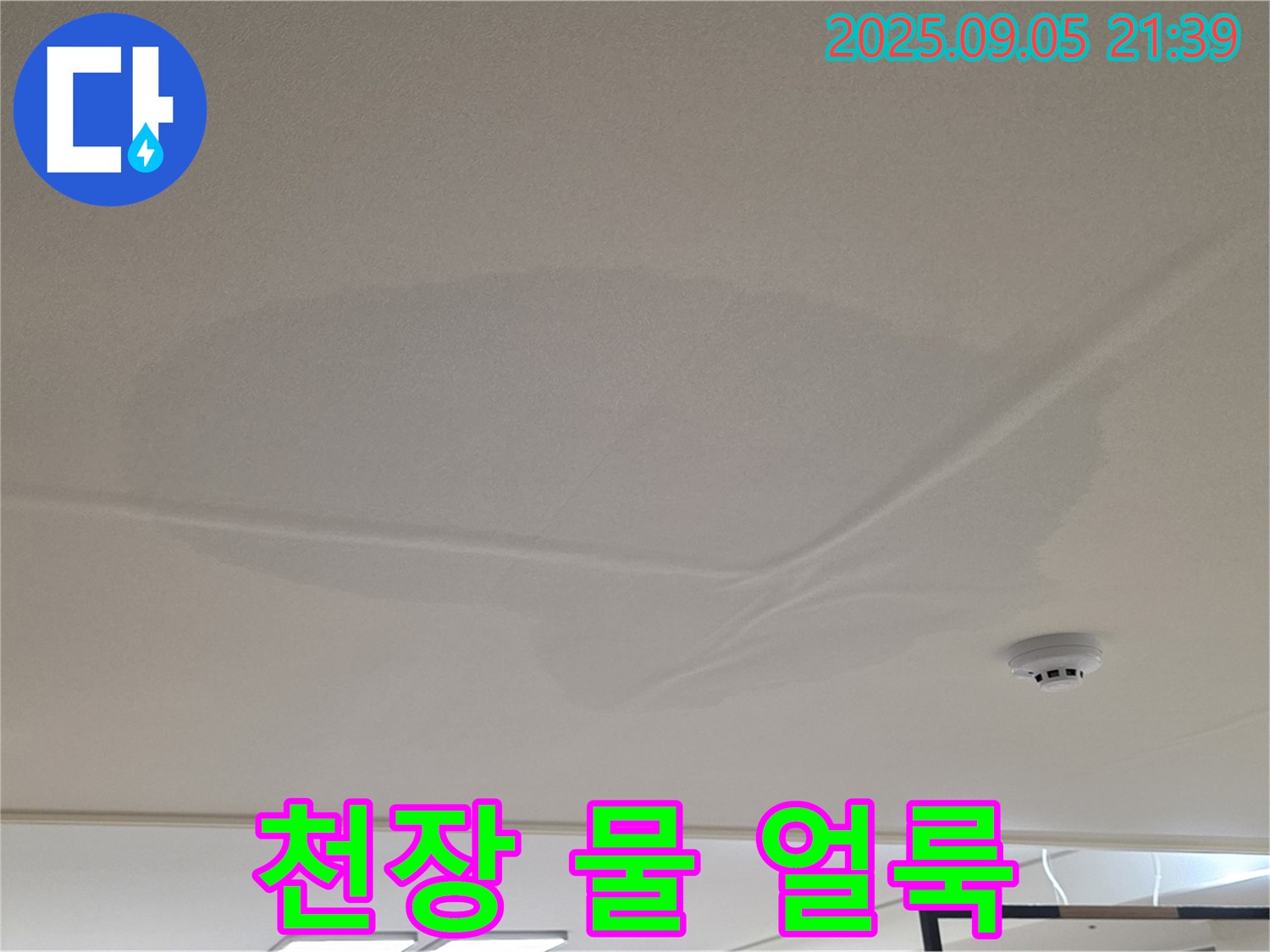 중랑구 면목동 아파트 누수 - 천장 물 얼룩, 젖은 천장