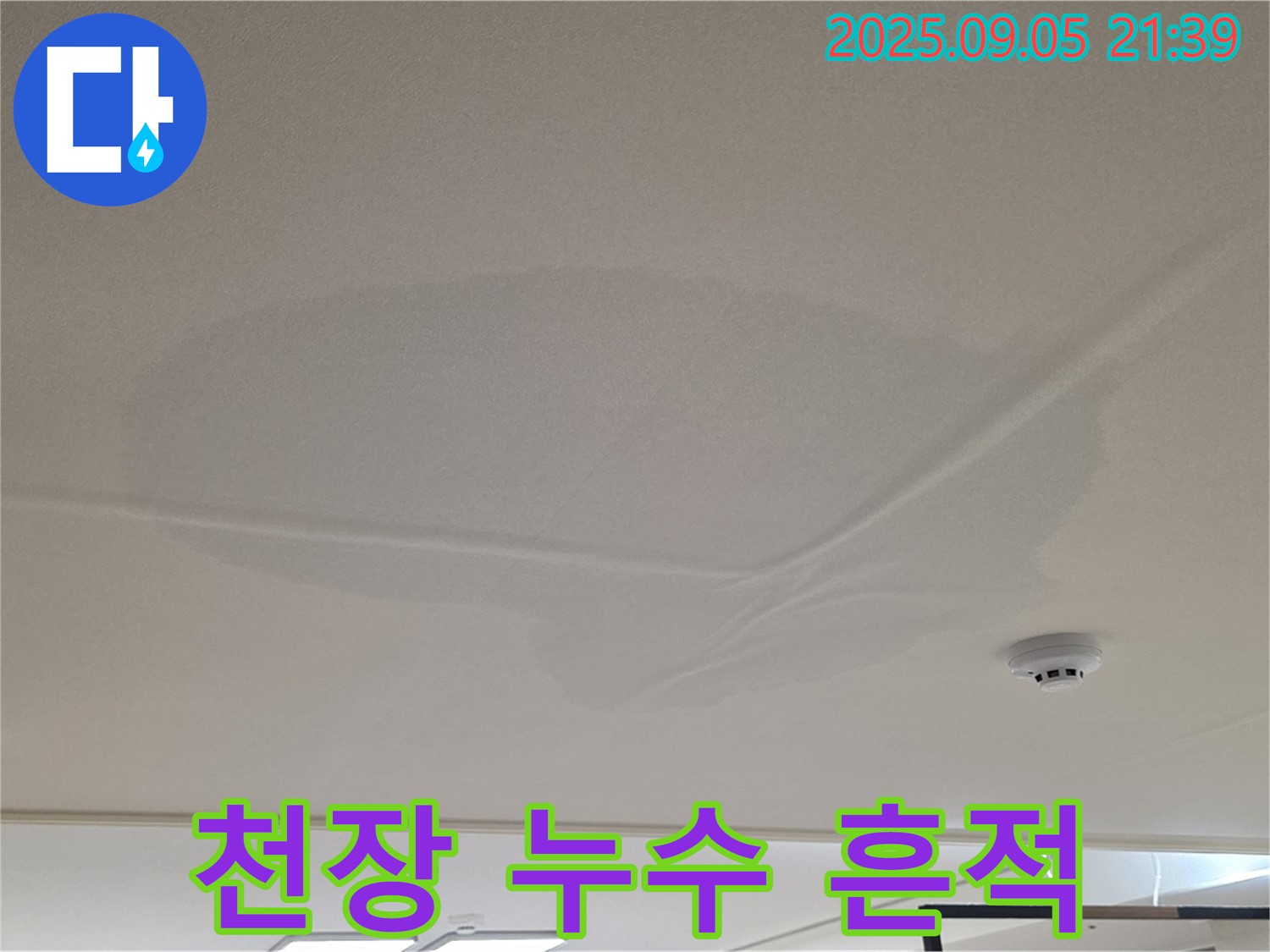 중랑구 면목동 아파트 천장 누수 - 젖어있는 천장 모습
