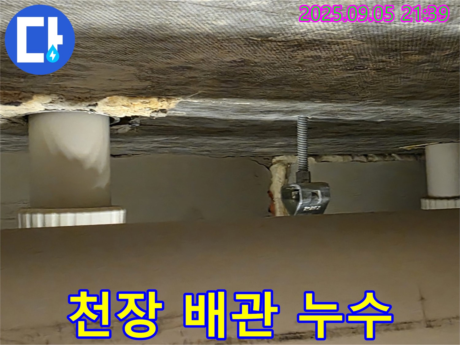 중랑구 면목동 천장 배관 - 누수 진단 및 해결