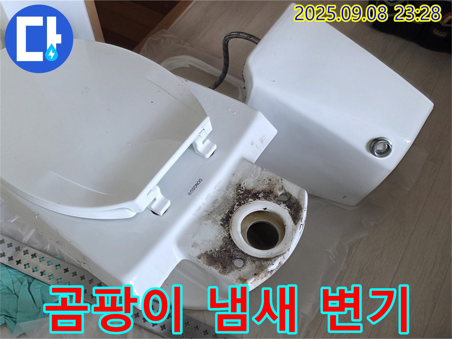 곰팡이 냄새 - 변기 교체