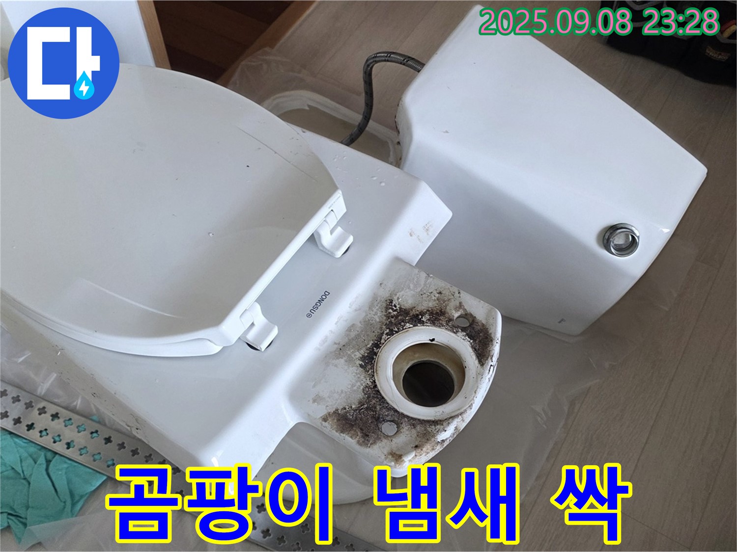 곰팡이 냄새 싹 - 변신