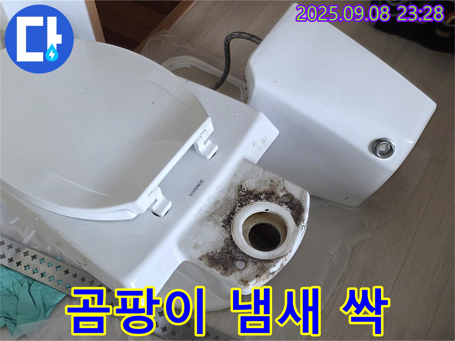 곰팡이 냄새 싹 - 변신