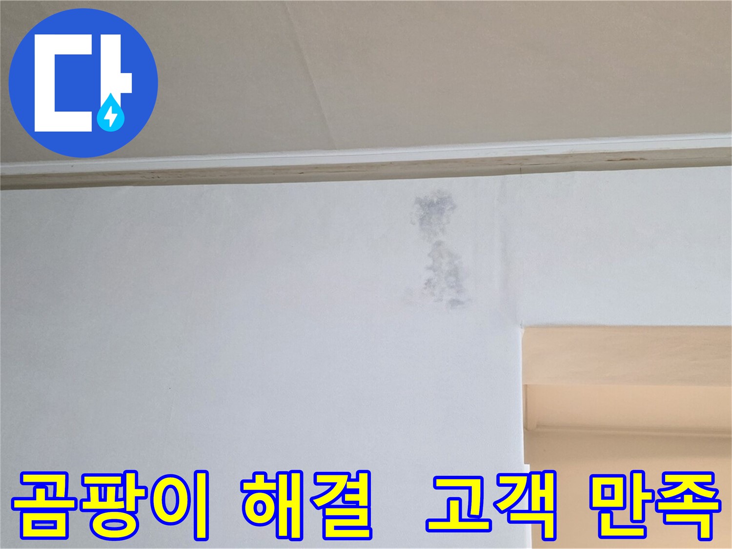 곰팡이 문제 해결 후 고객 만족 - 신뢰와 만족