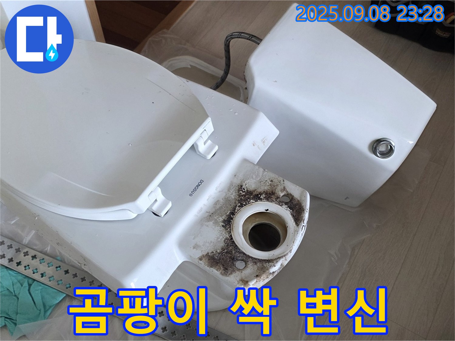 곰팡이 싹 - 쾌적 변신