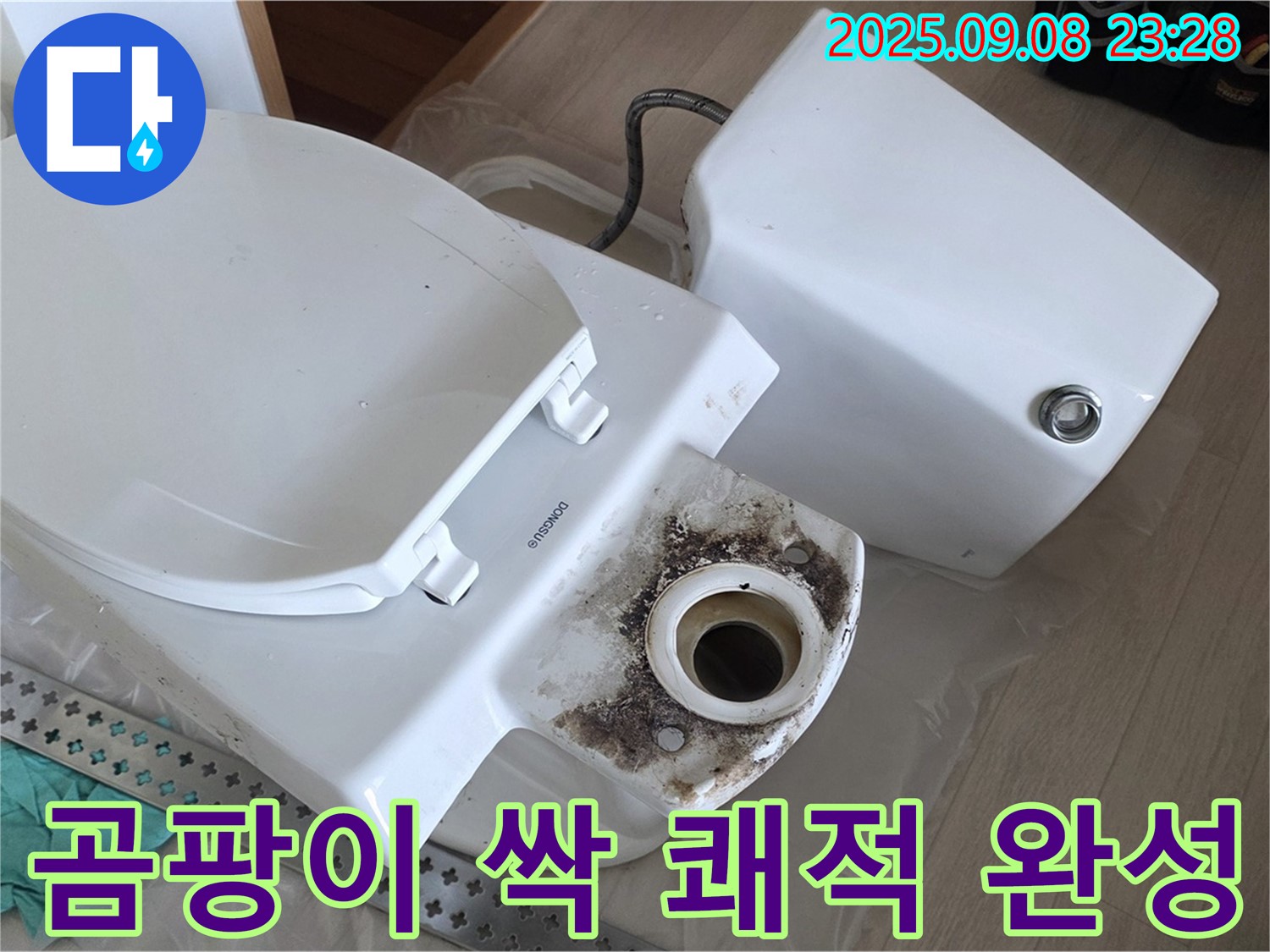 곰팡이 싹 - 쾌적 완성