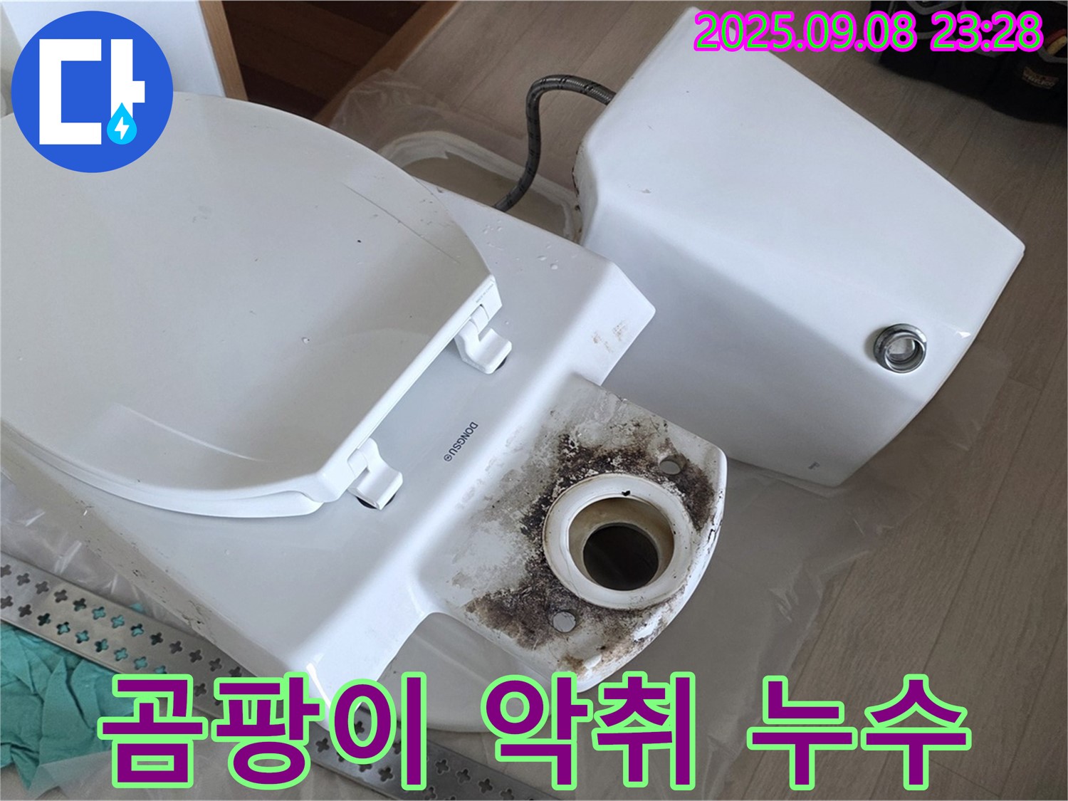 곰팡이 악취 - 누수 진단
