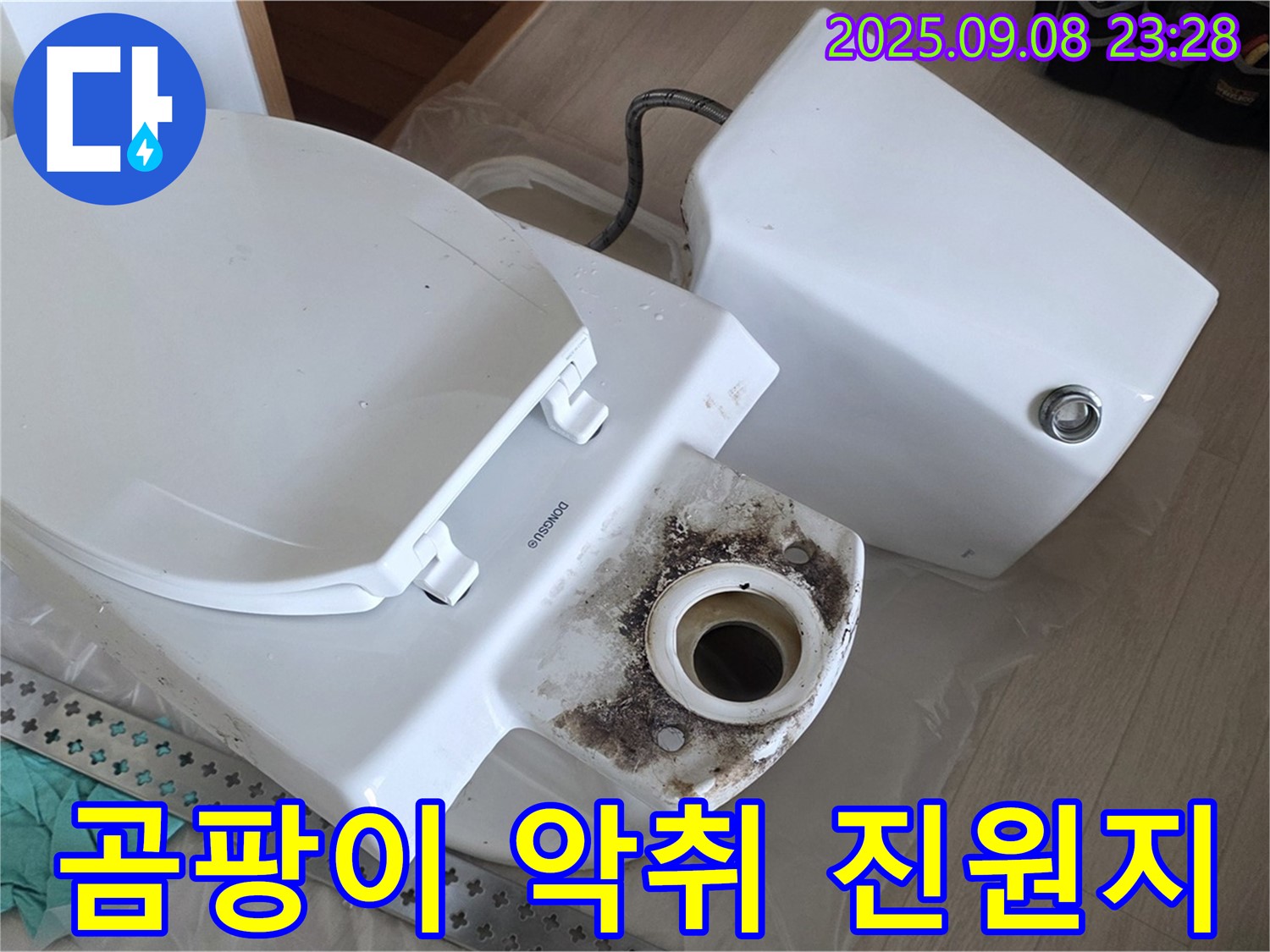 곰팡이 악취 - 누수 진단
