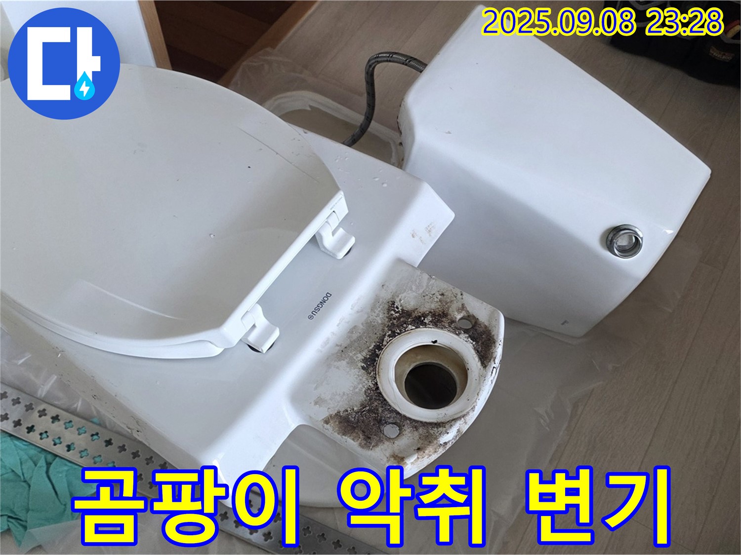 곰팡이 악취 - 변기 교체