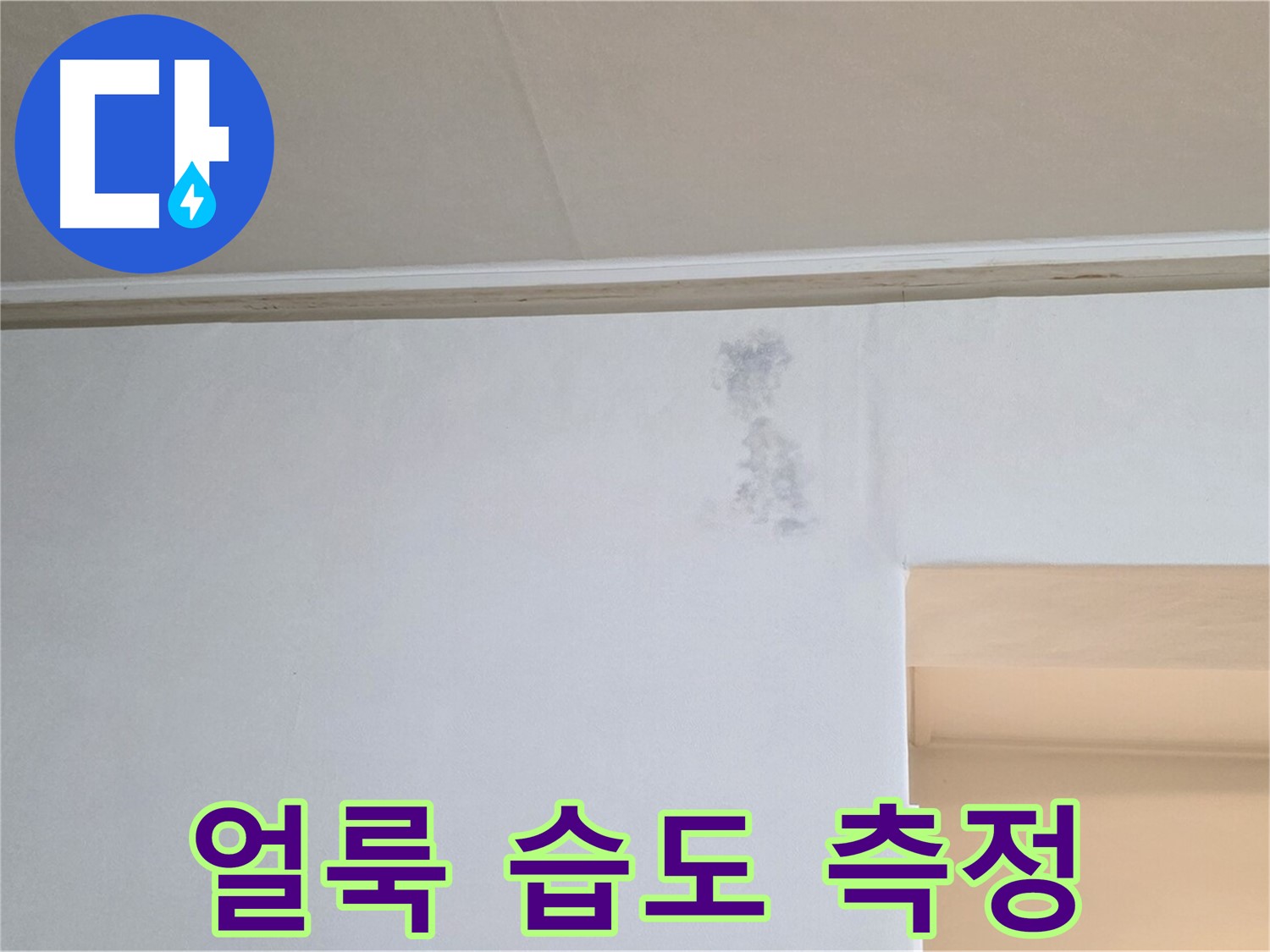 곰팡이 얼룩 습도 측정 - 누수 진단 과정