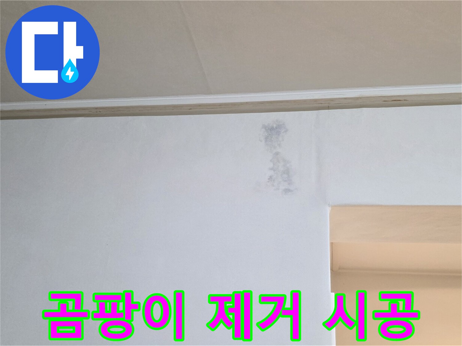 곰팡이 완벽 제거 및 재발 방지 시공 - 쾌적한 공간