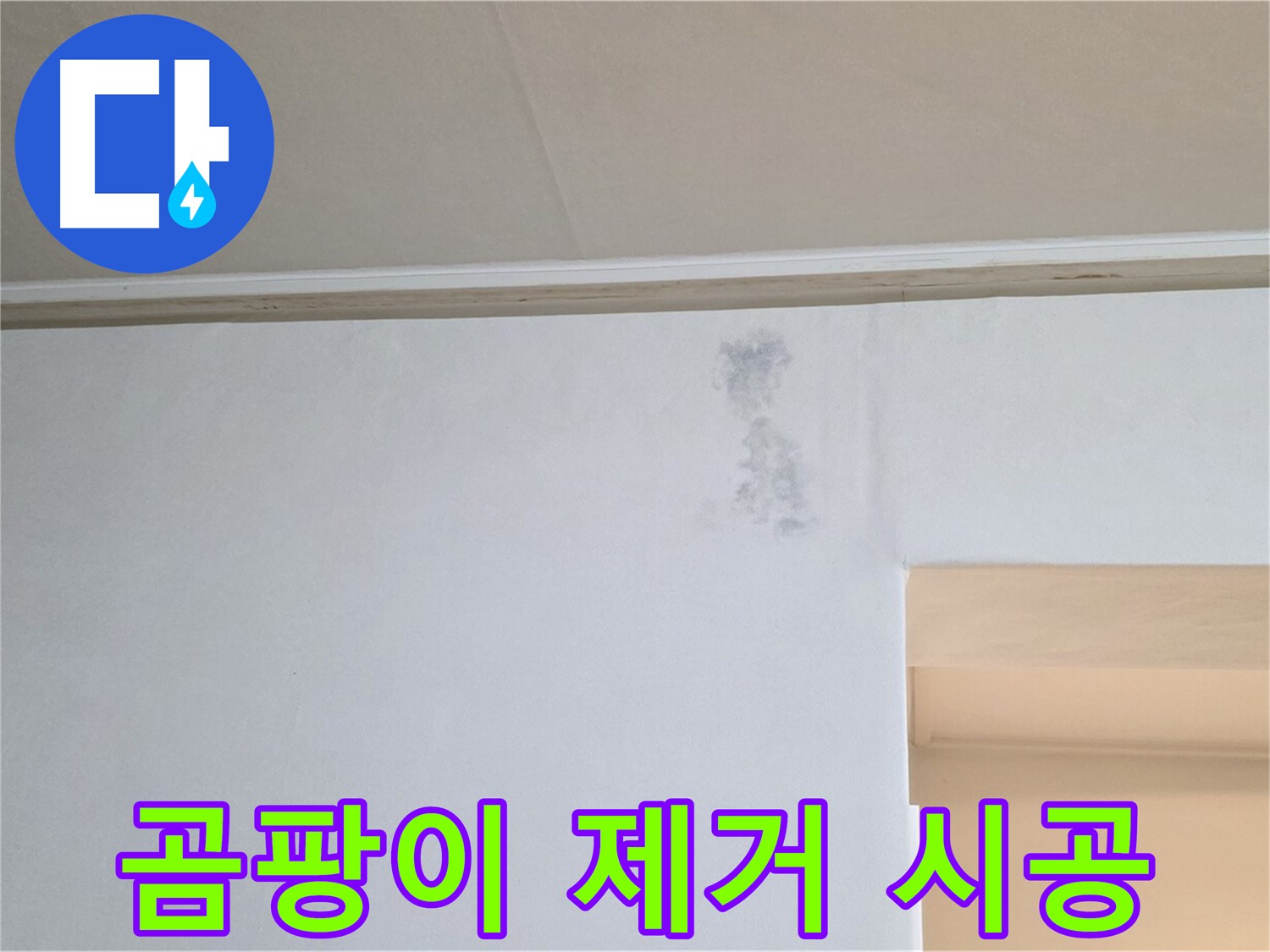 곰팡이 완벽 제거 시공 - 깨끗한 환경 조성