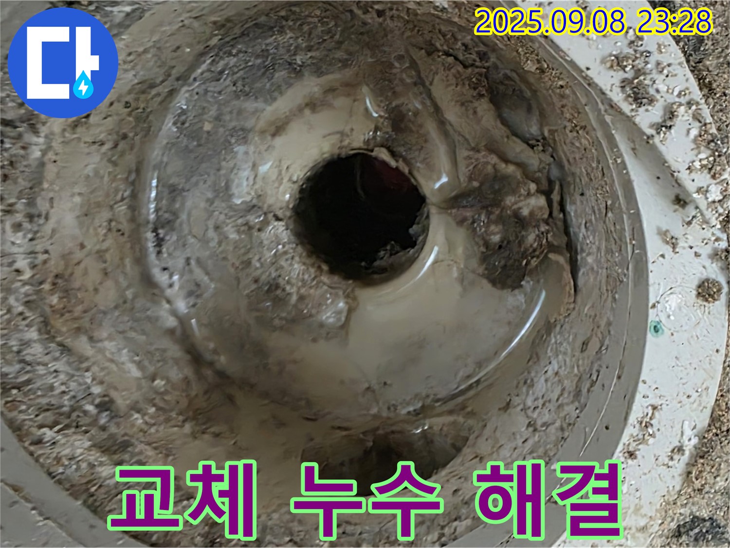 깨진 배수구 - 완벽 교체로 누수 해결