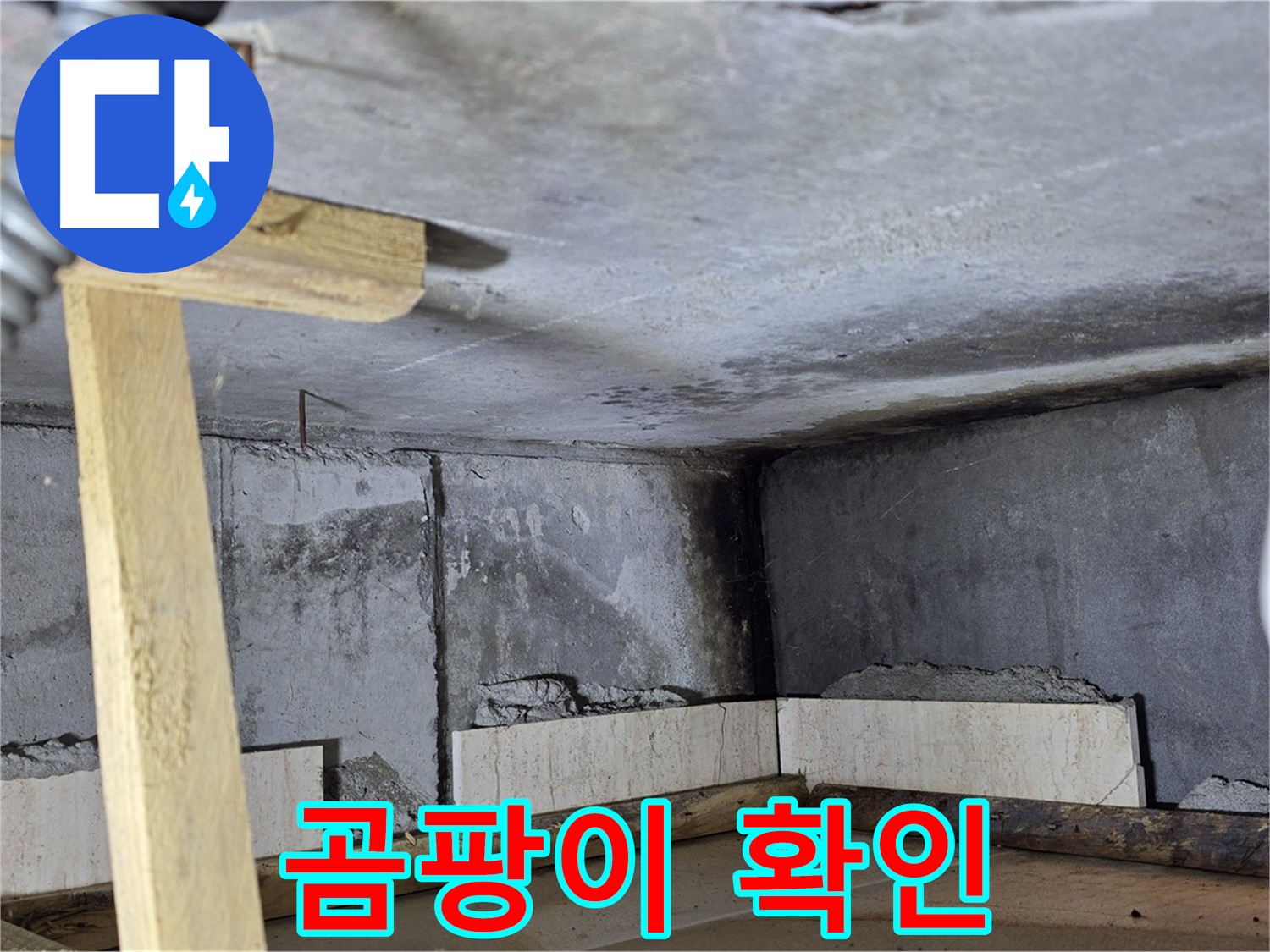 누수 부위 - 곰팡이 발생 확인