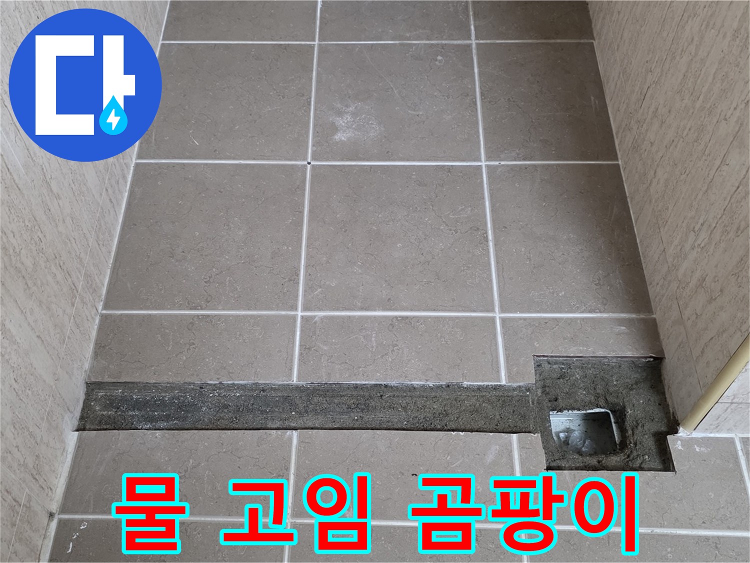 물 고임 및 곰팡이 흔적 - 누수 가능성 높음