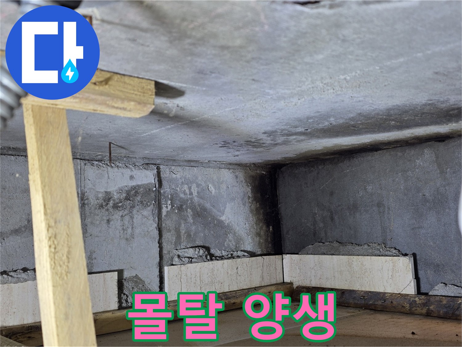 배수관 몰탈 양생 - 충분한 건조 시간