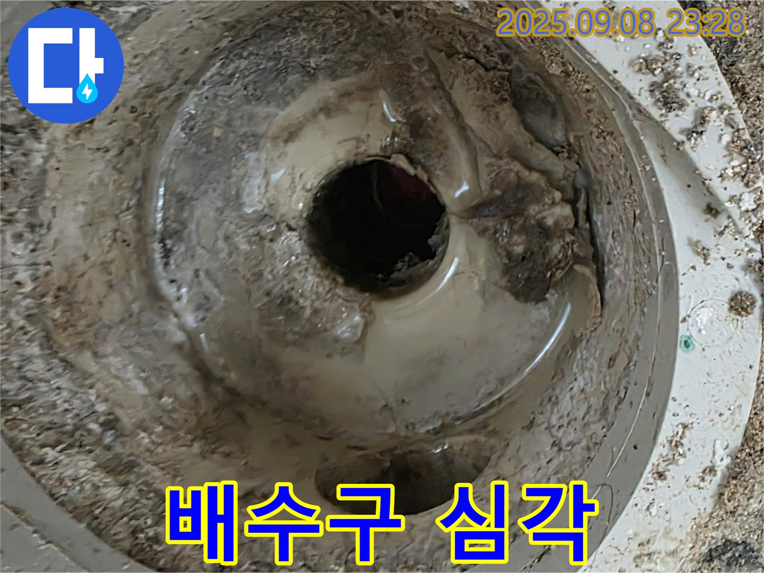 배수구 상태가 매우 심각함