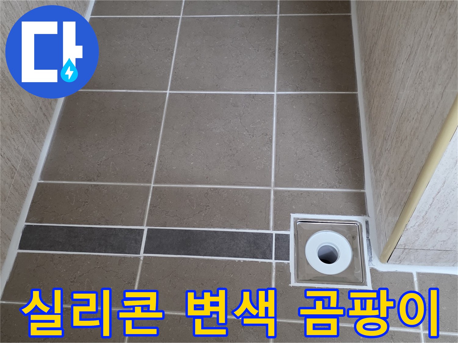 배수구 주변 실리콘 - 변색 및 곰팡이