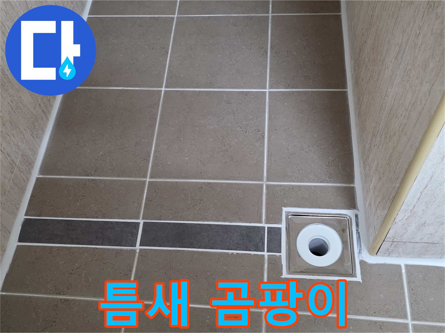 배수구 주변 타일 틈새 - 곰팡이