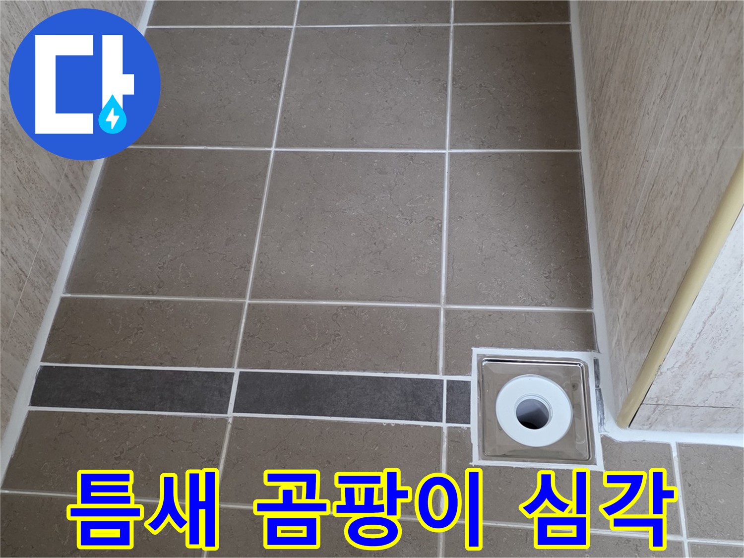배수구 주변 타일 틈새 - 곰팡이 심각한 상태