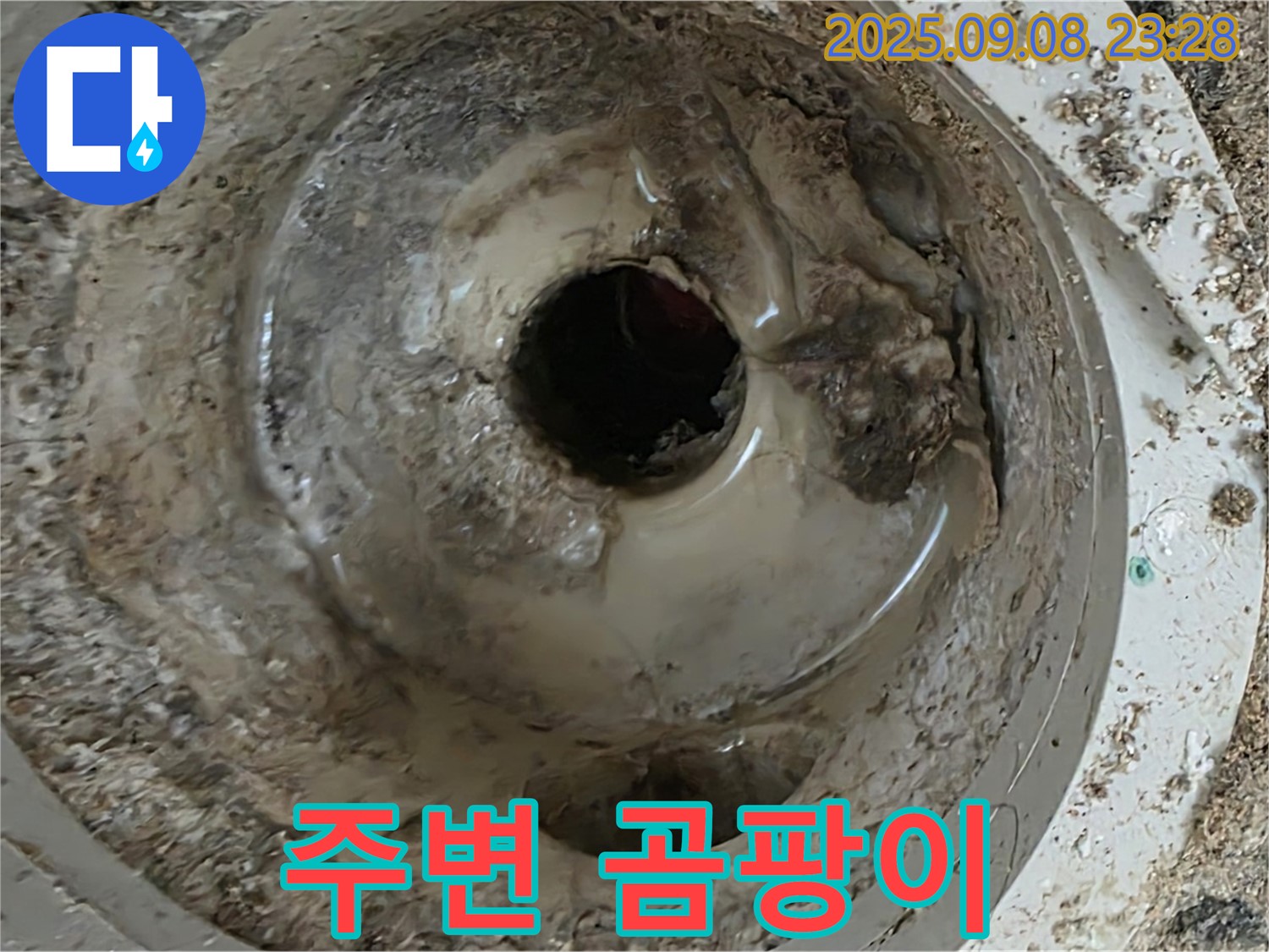 배수구 주변의 곰팡이