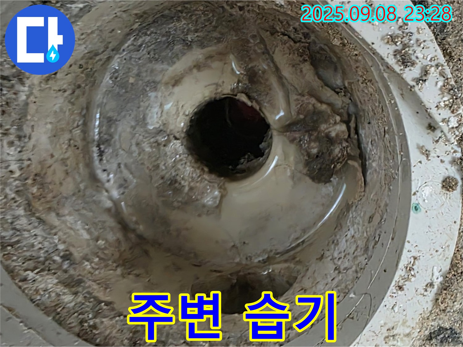 배수구 주변의 습기 - 긴급 점검