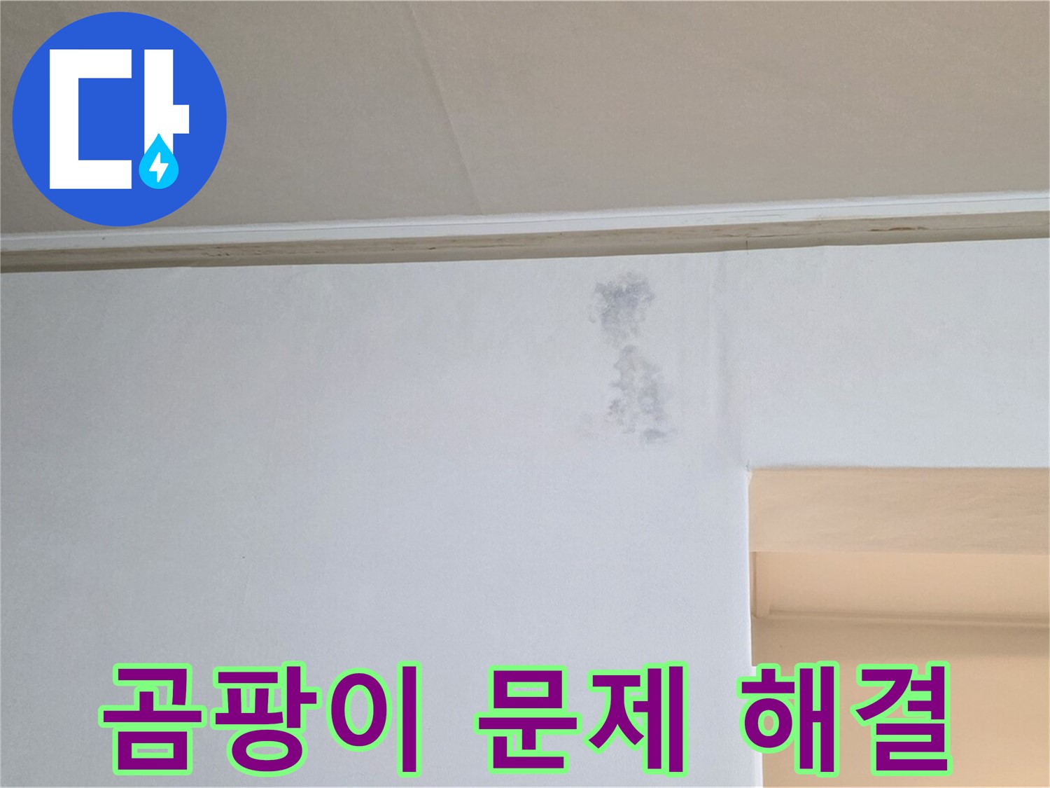 벽 곰팡이 문제 해결 - 건강한 보금자리 완성