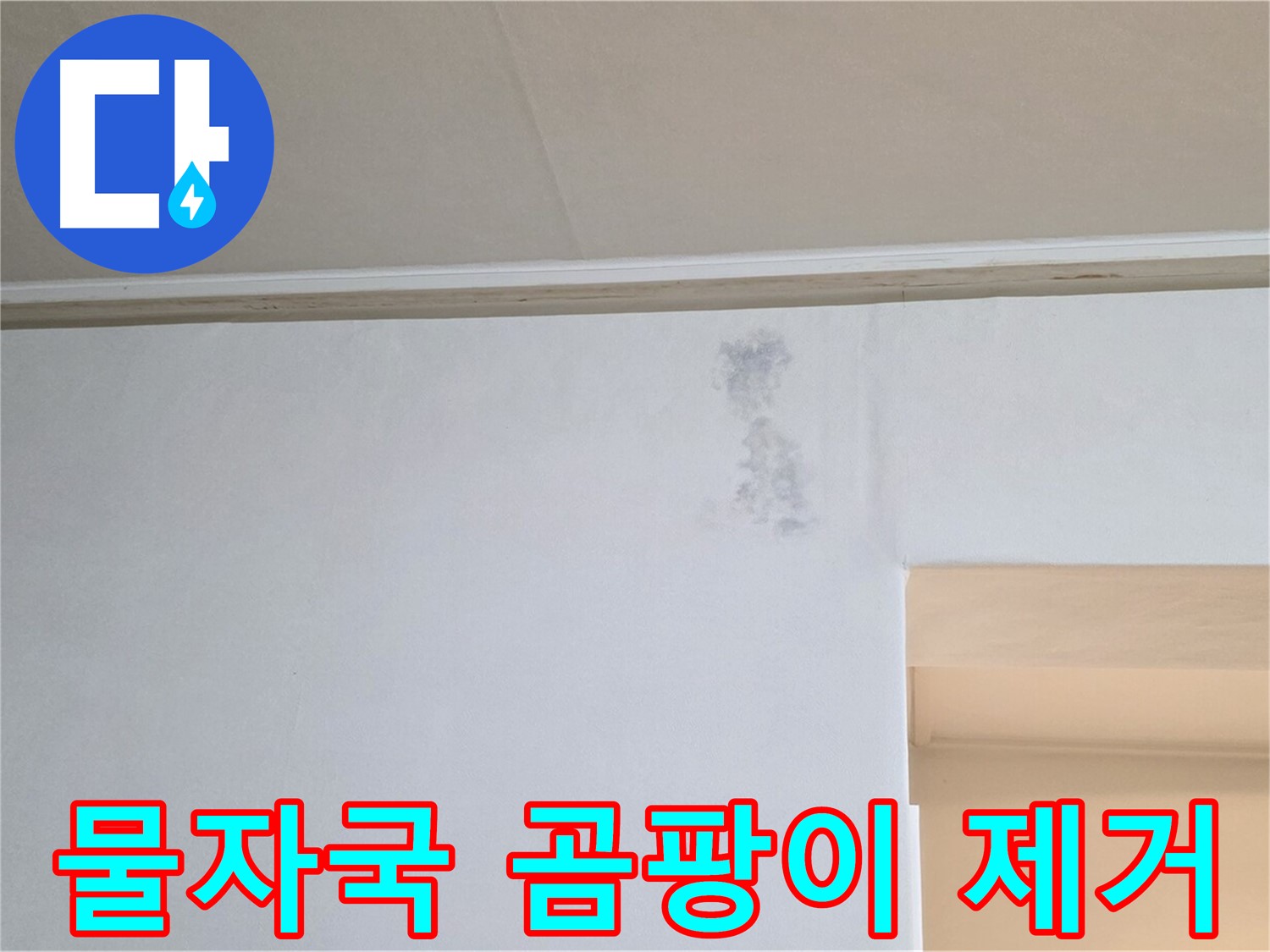 벽 물자국 곰팡이 제거 - 쾌적한 공간으로 변신