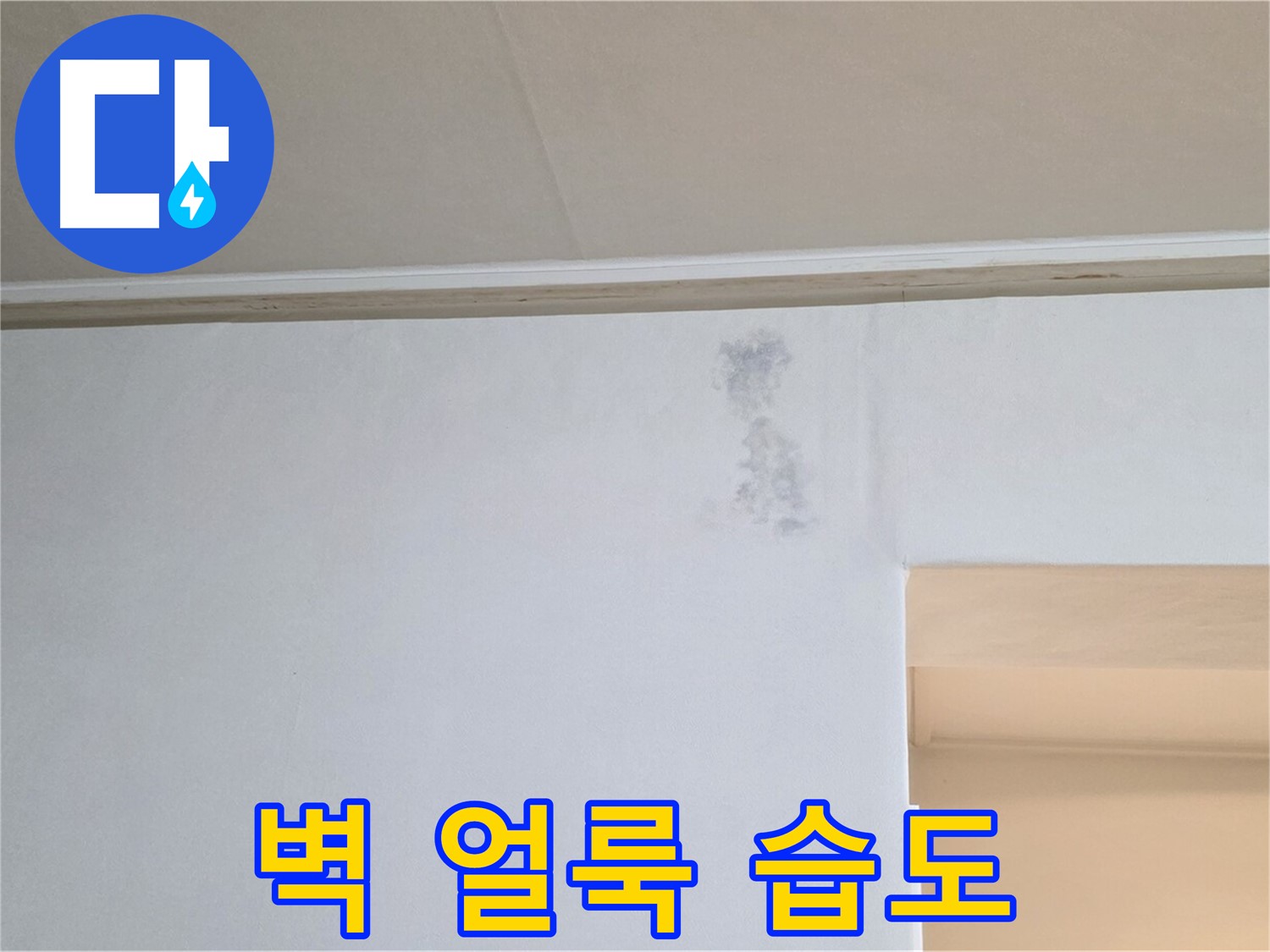 벽 얼룩 습도 측정 - 누수 진단