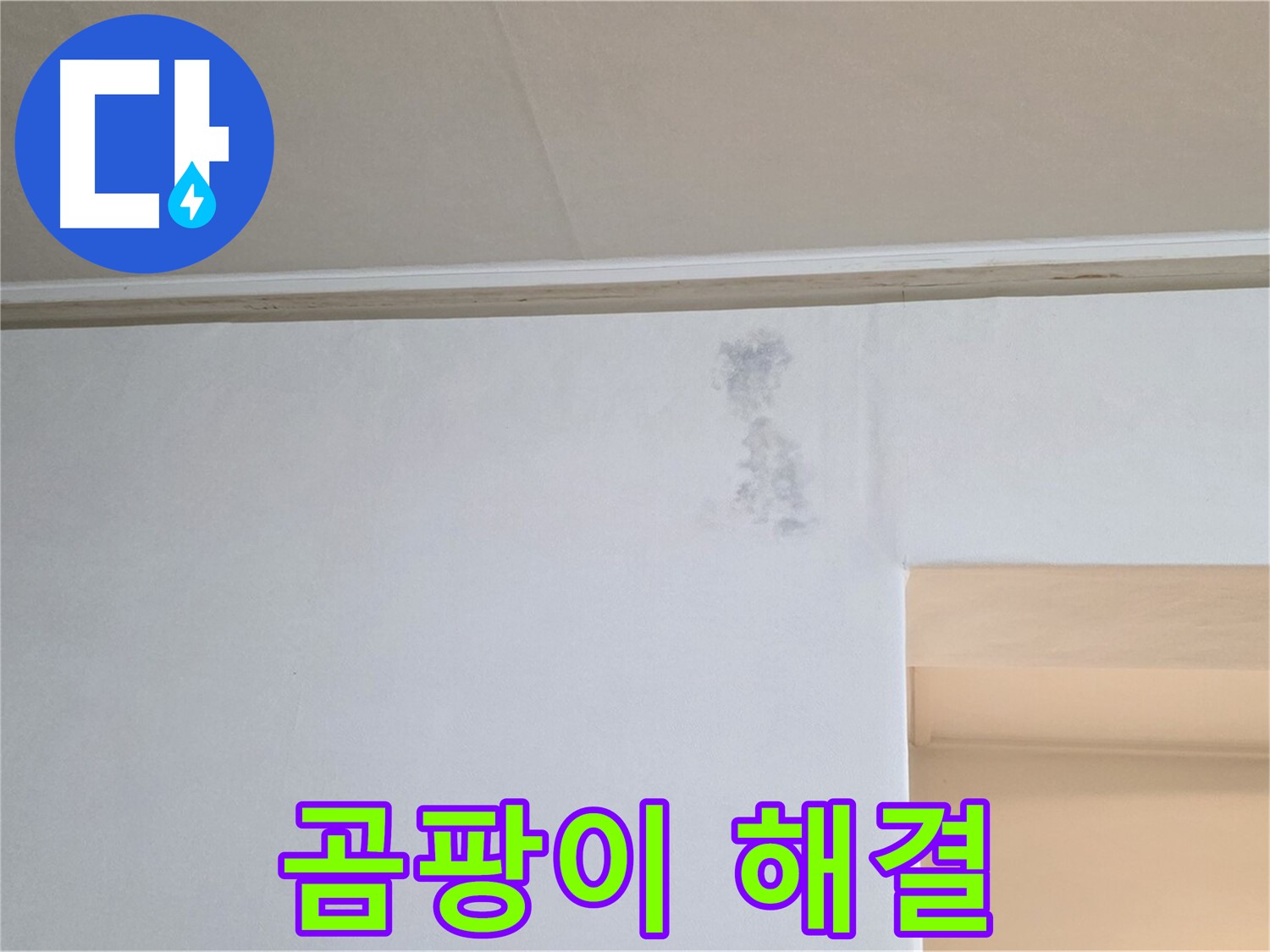 변색된 벽 곰팡이 문제 해결 - 건강한 보금자리 완성