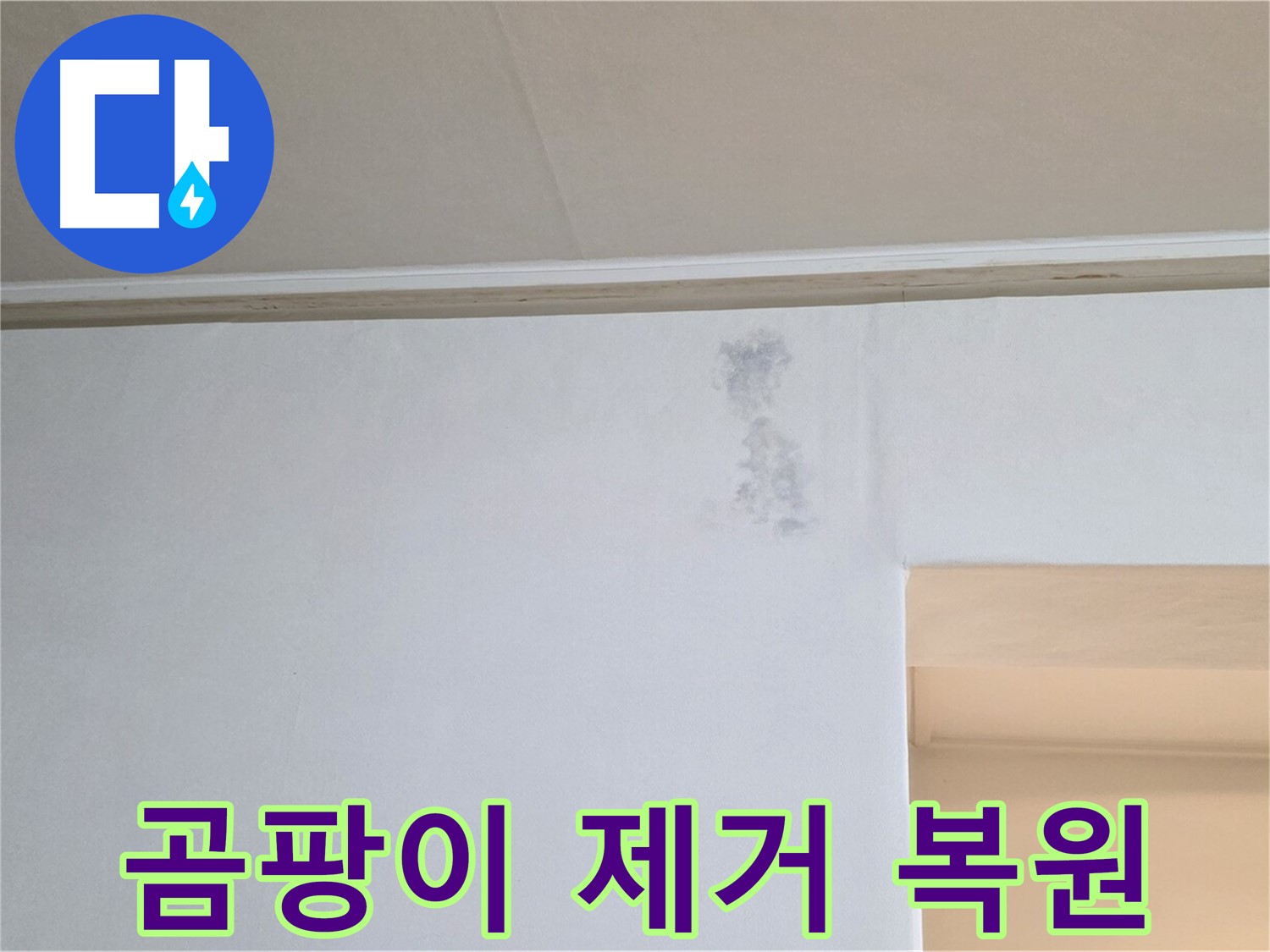 변색된 벽 곰팡이 제거 - 깨끗한 공간 복원