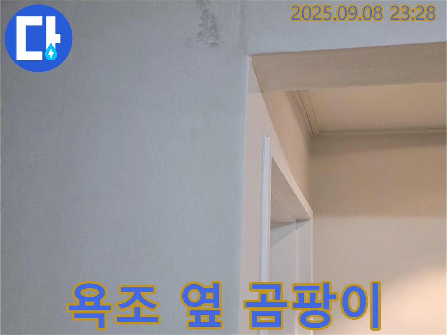 욕조 옆 곰팡이 - 3중 방수 시공, 완벽 차단