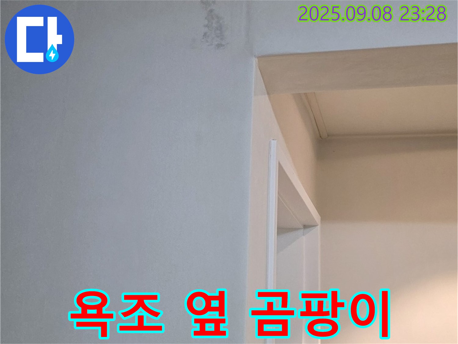 욕조 옆 곰팡이 - 제거 - 코팅