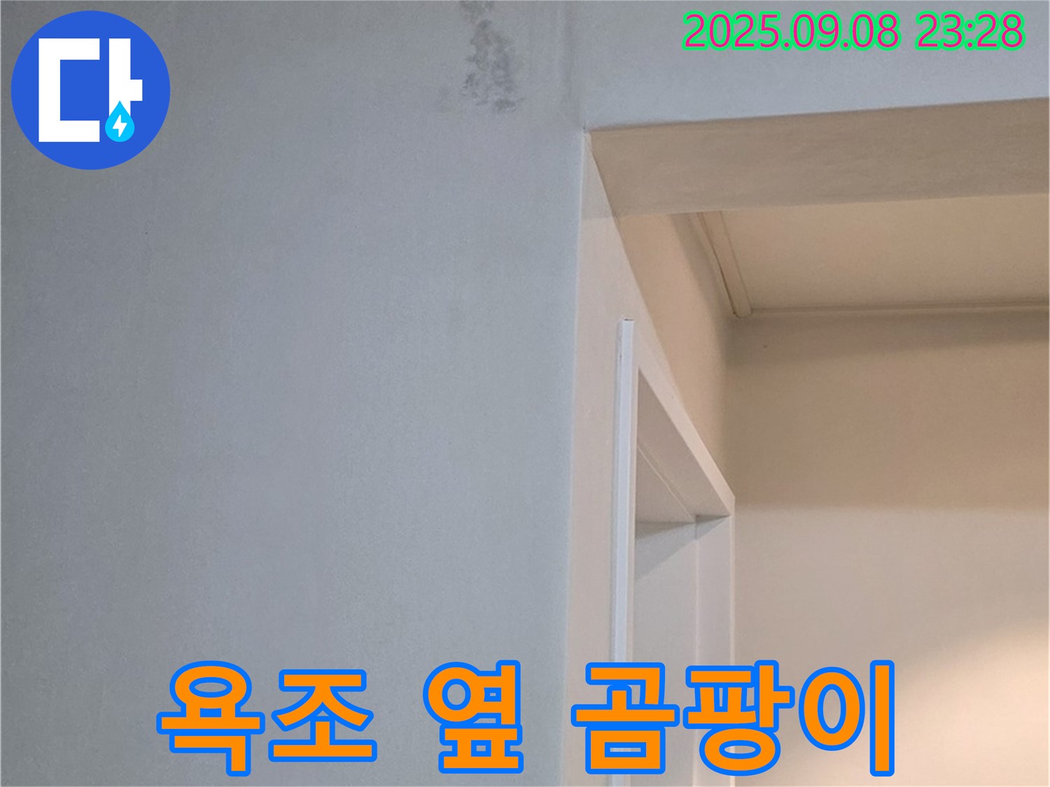 욕조 옆 곰팡이 - 천연 약품 - 안심