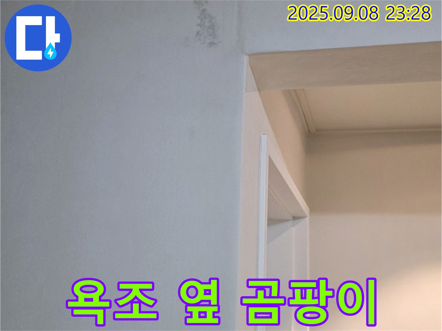 욕조 옆 곰팡이 - 친환경 약품 사용