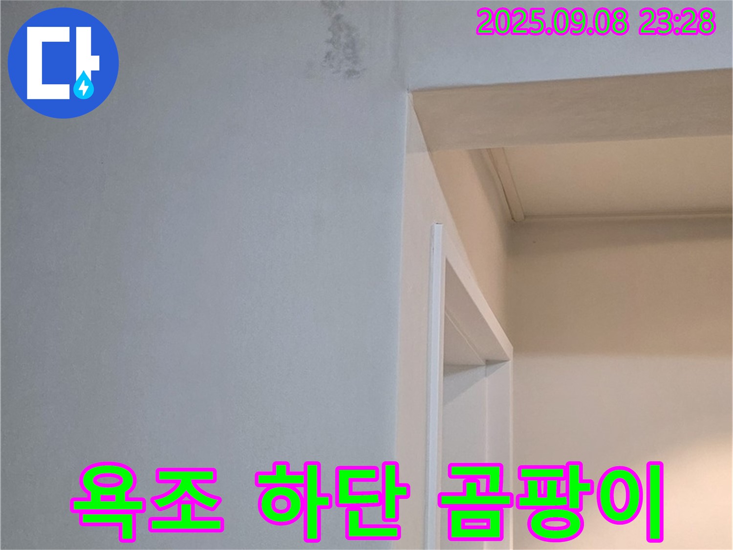 욕조 하단 곰팡이 - 냄새 동반 - 긴급 연락