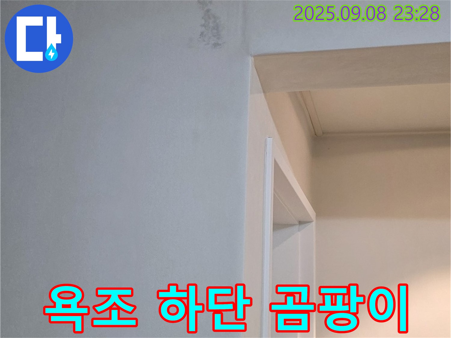 욕조 하단 곰팡이 - 냄새 제거 - 쾌적 변신