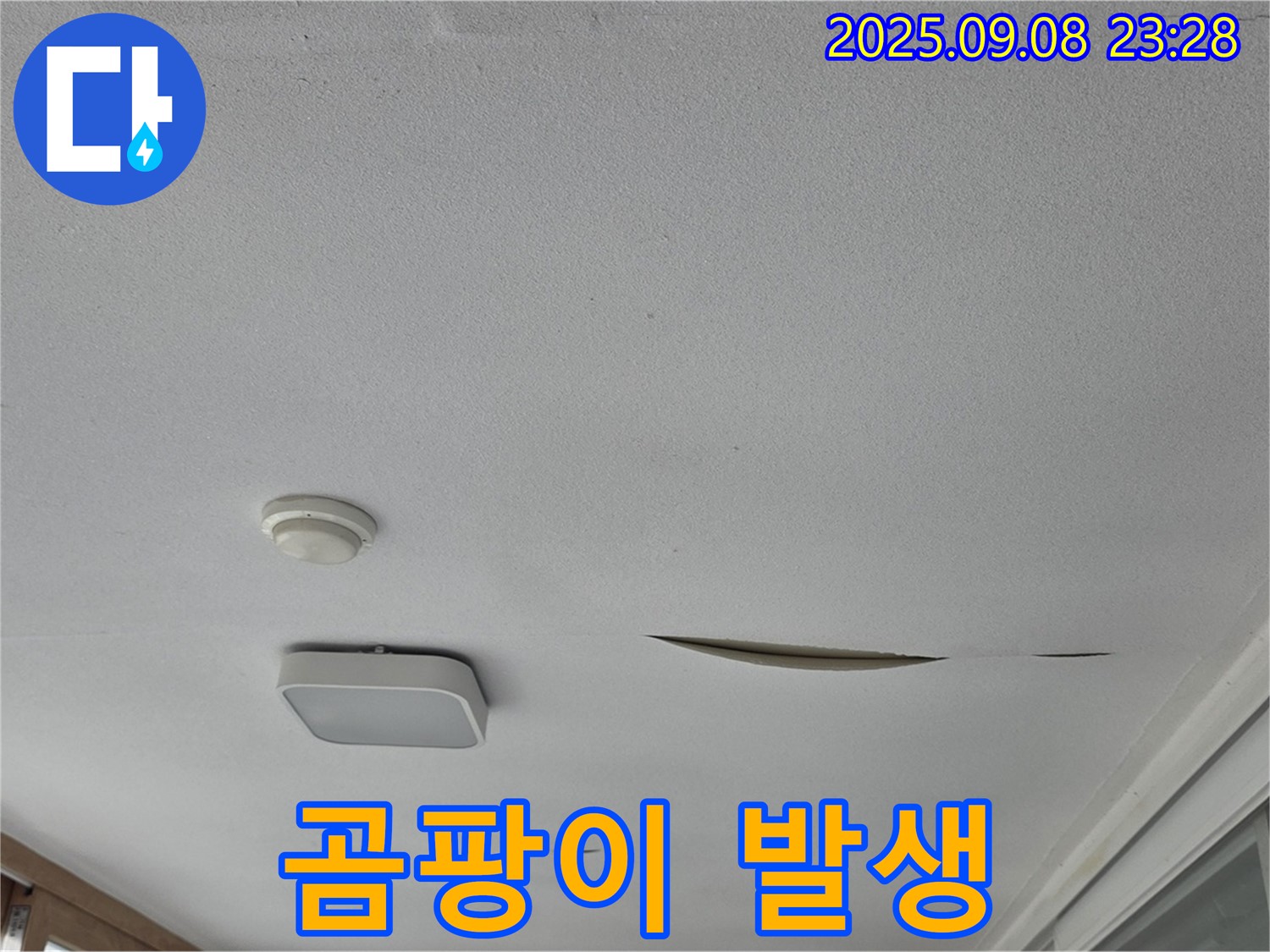 운악청계로 아파트 베란다 천장 - 석고보드 찢어진 틈새로 곰팡이 발생