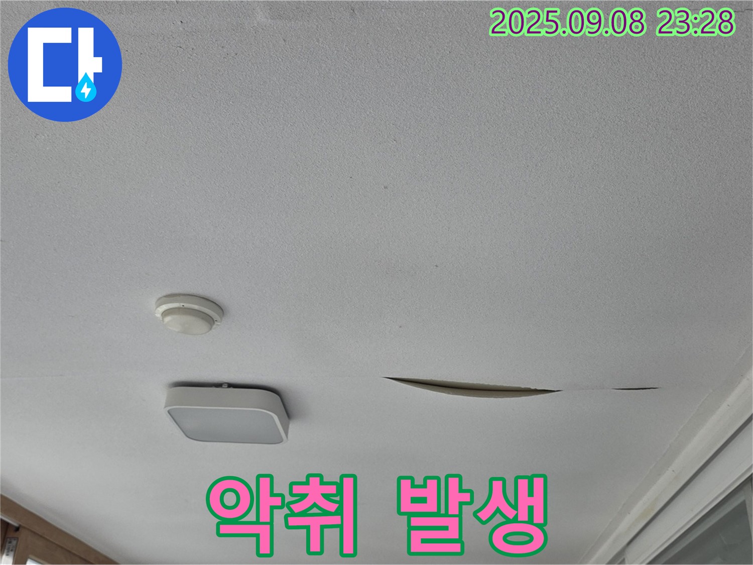 운악청계로 아파트 베란다 천장 - 석고보드 찢어진 틈새로 악취 발생