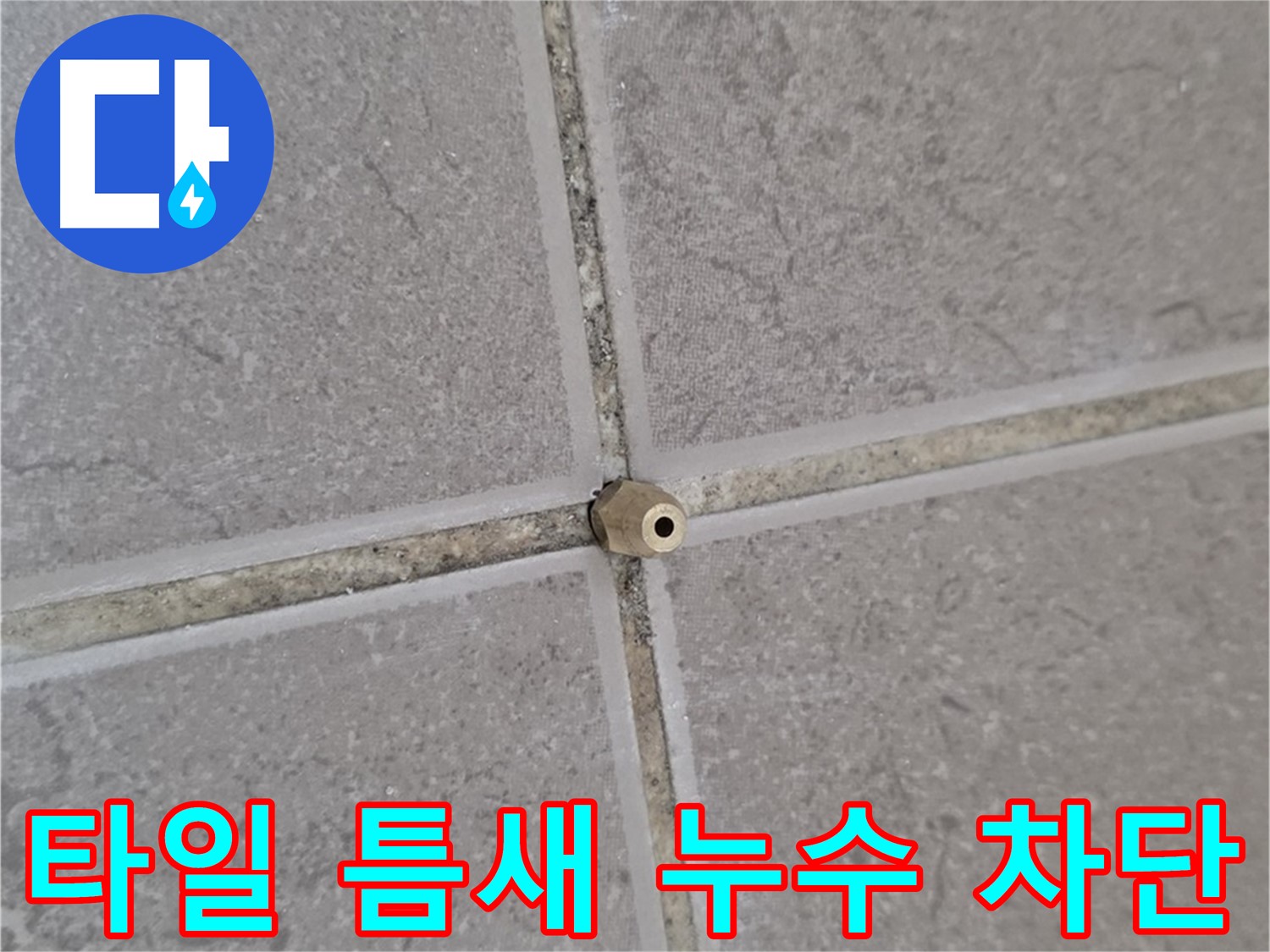 일동 아파트 타일 틈새 누수 - 완벽 차단 공사 현장