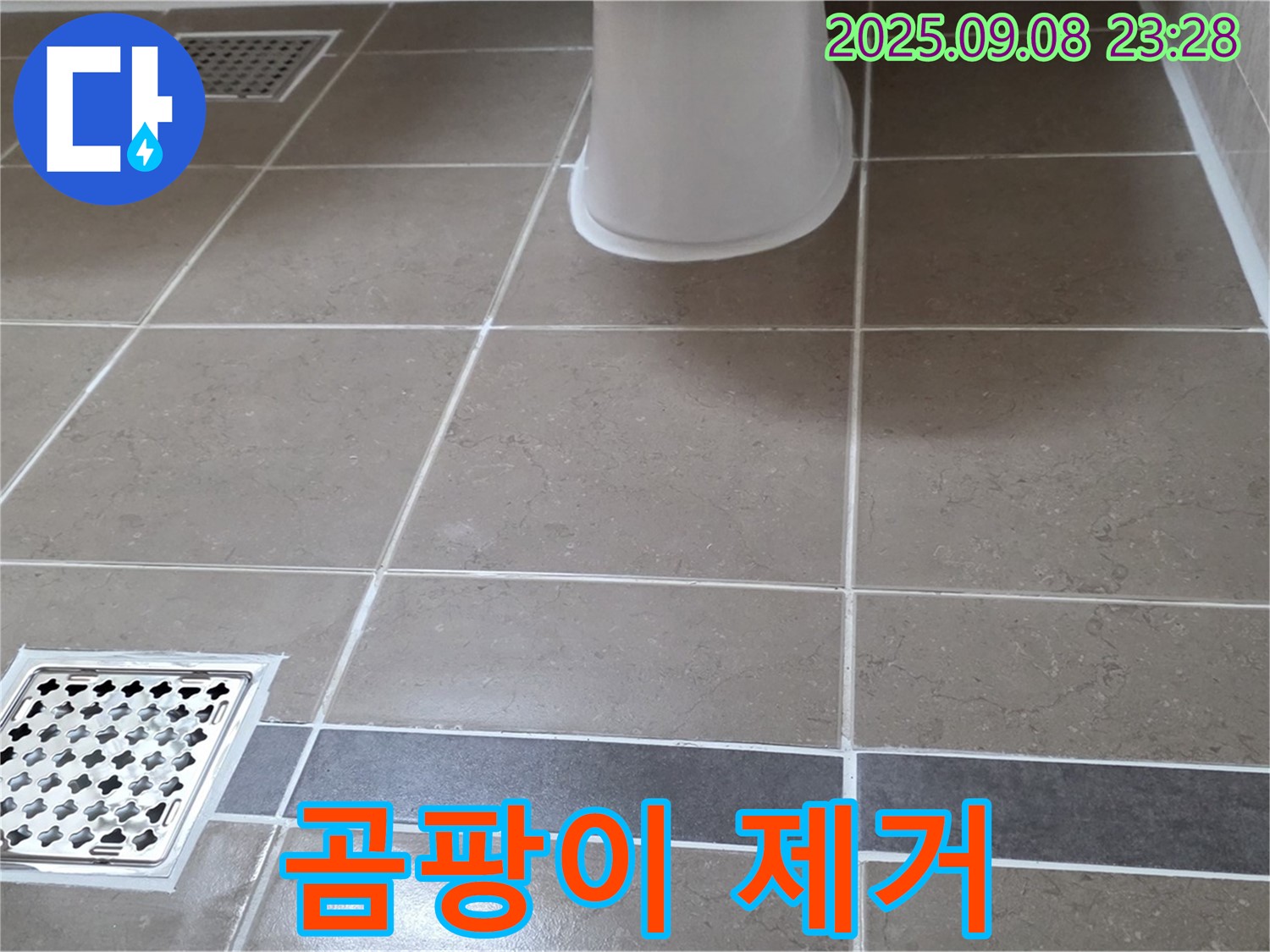 일동 욕실 - 곰팡이 제거제