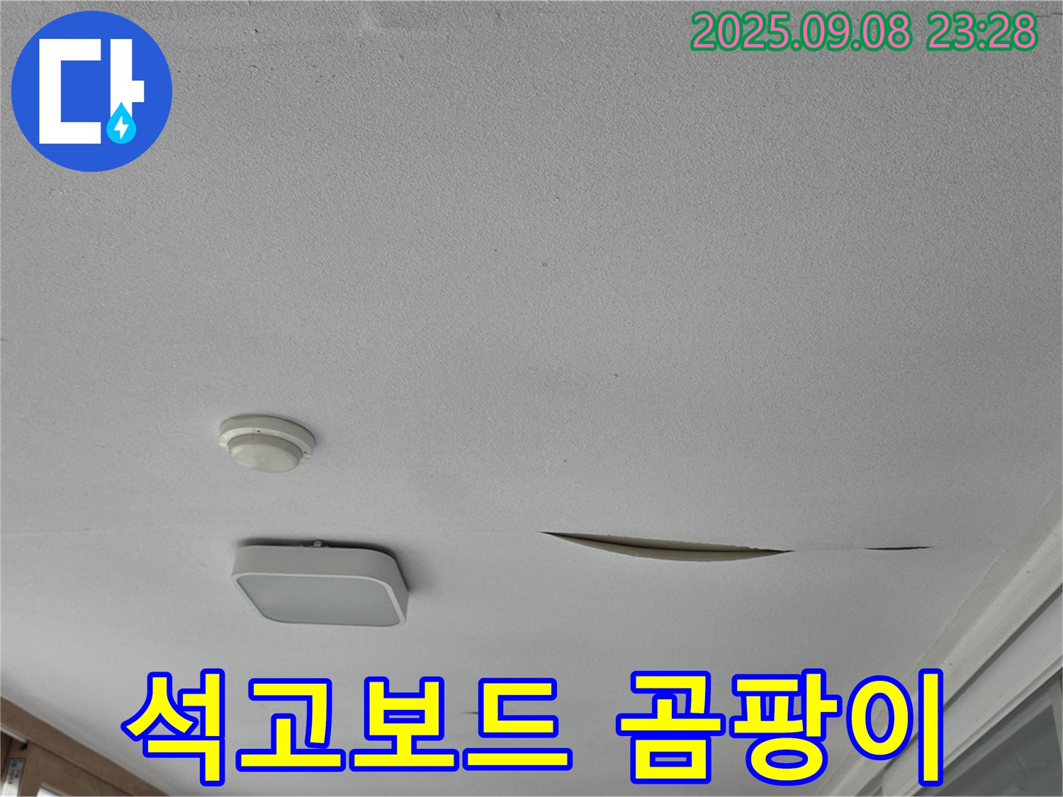 일동면 아파트 베란다 천장 - 석고보드 곰팡이 발생