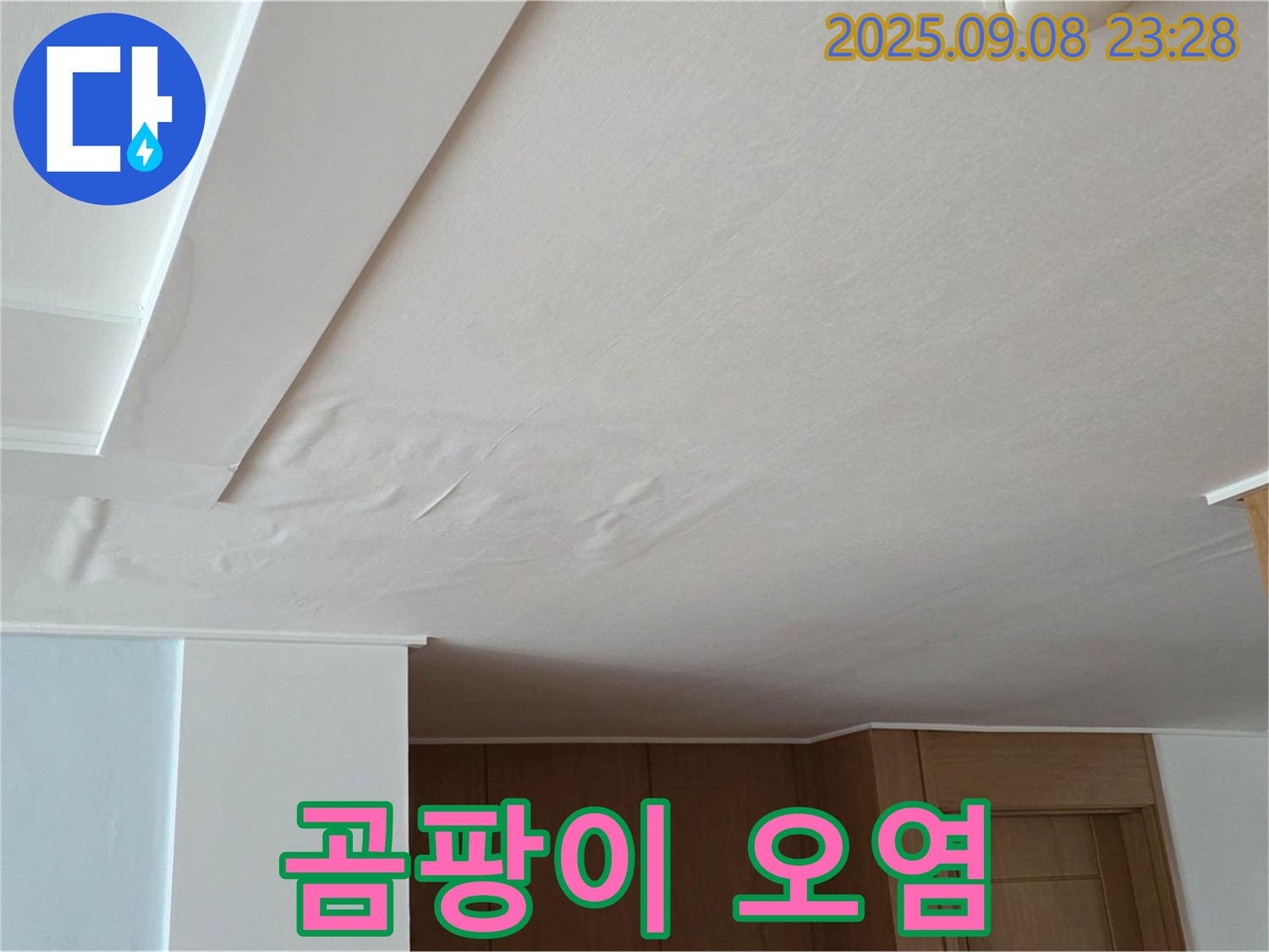 일동면 운악청계로 아파트 누수 - 곰팡이로 오염된 석고보드