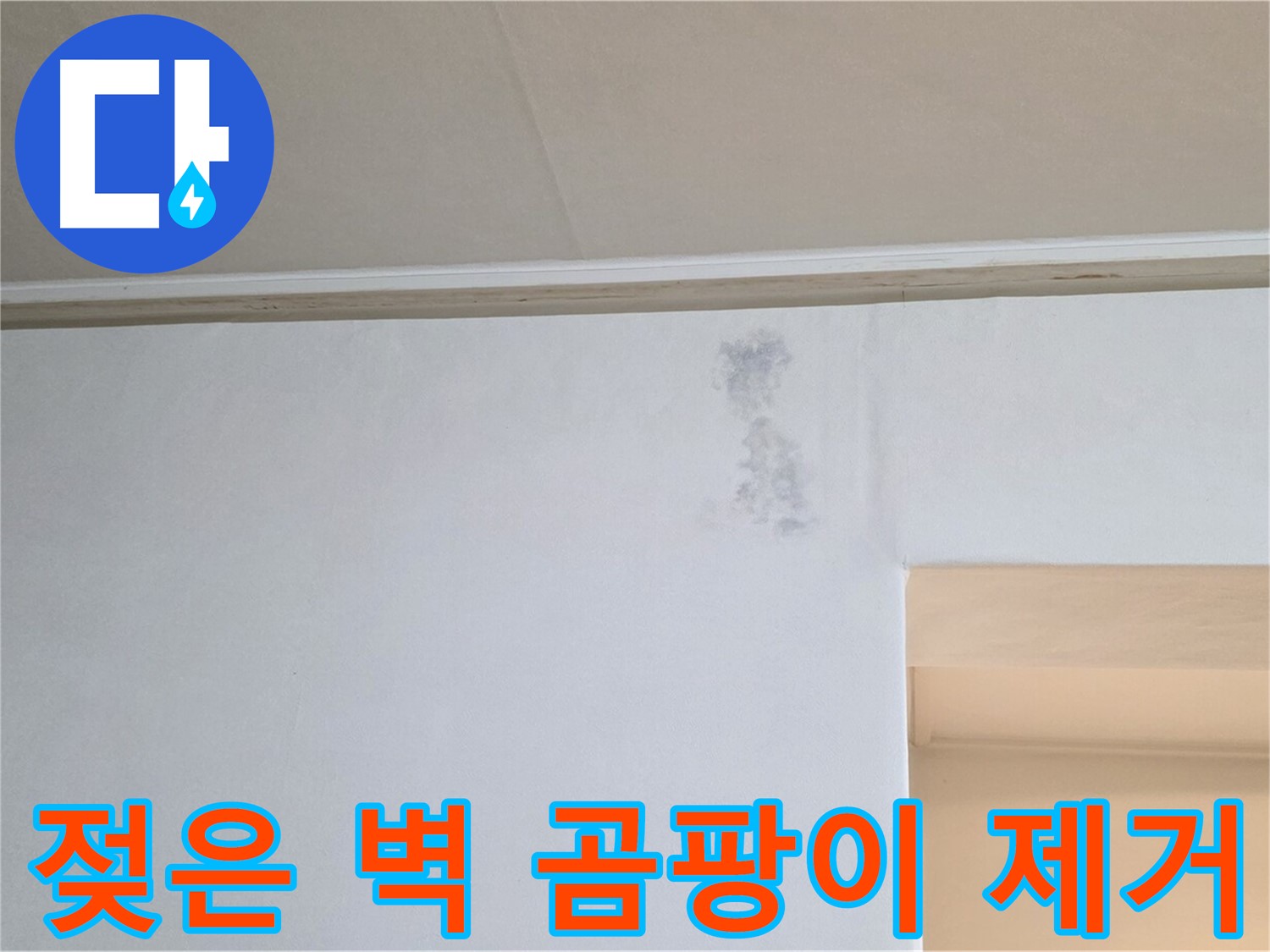 젖은 벽 곰팡이 제거 - 쾌적한 공간으로 변신