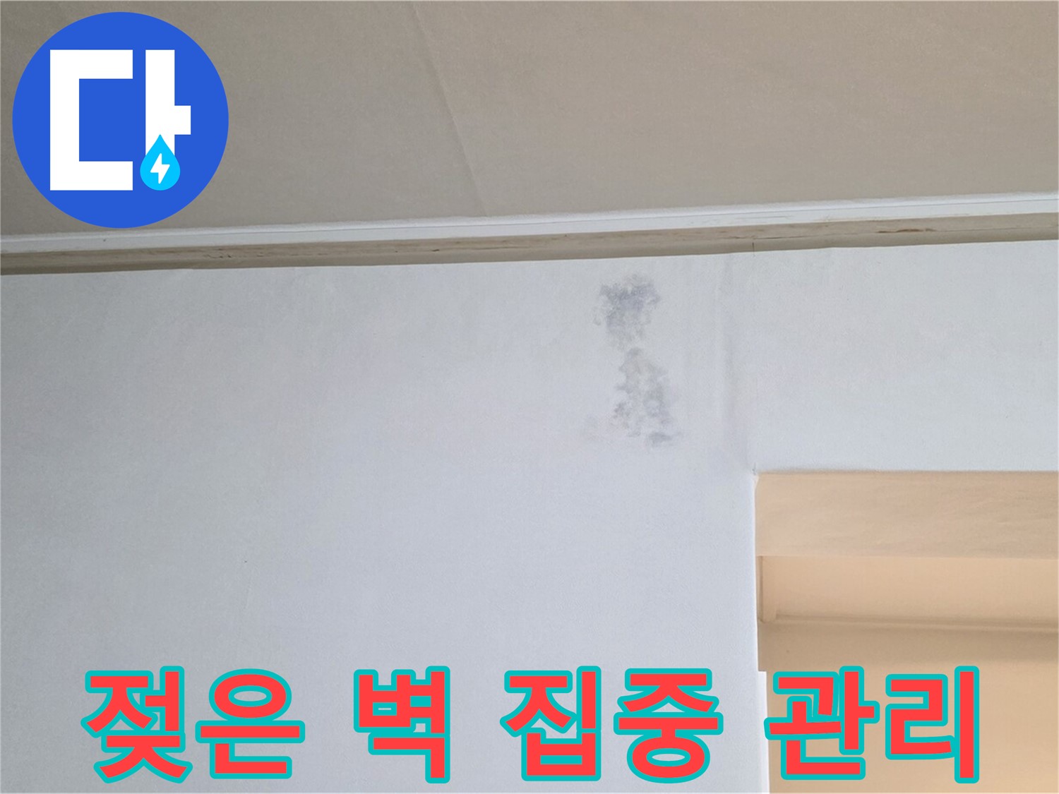 젖은 벽 발생 부위 집중 케어 - 맞춤형 솔루션