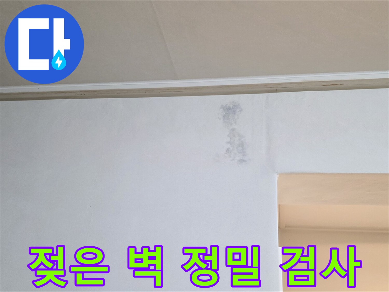 젖은 벽 심각 - 정밀 검사로 누수 경로 파악