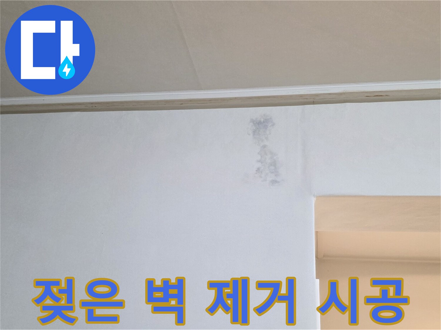 젖은 벽 완벽 제거 - 쾌적한 공간 복원