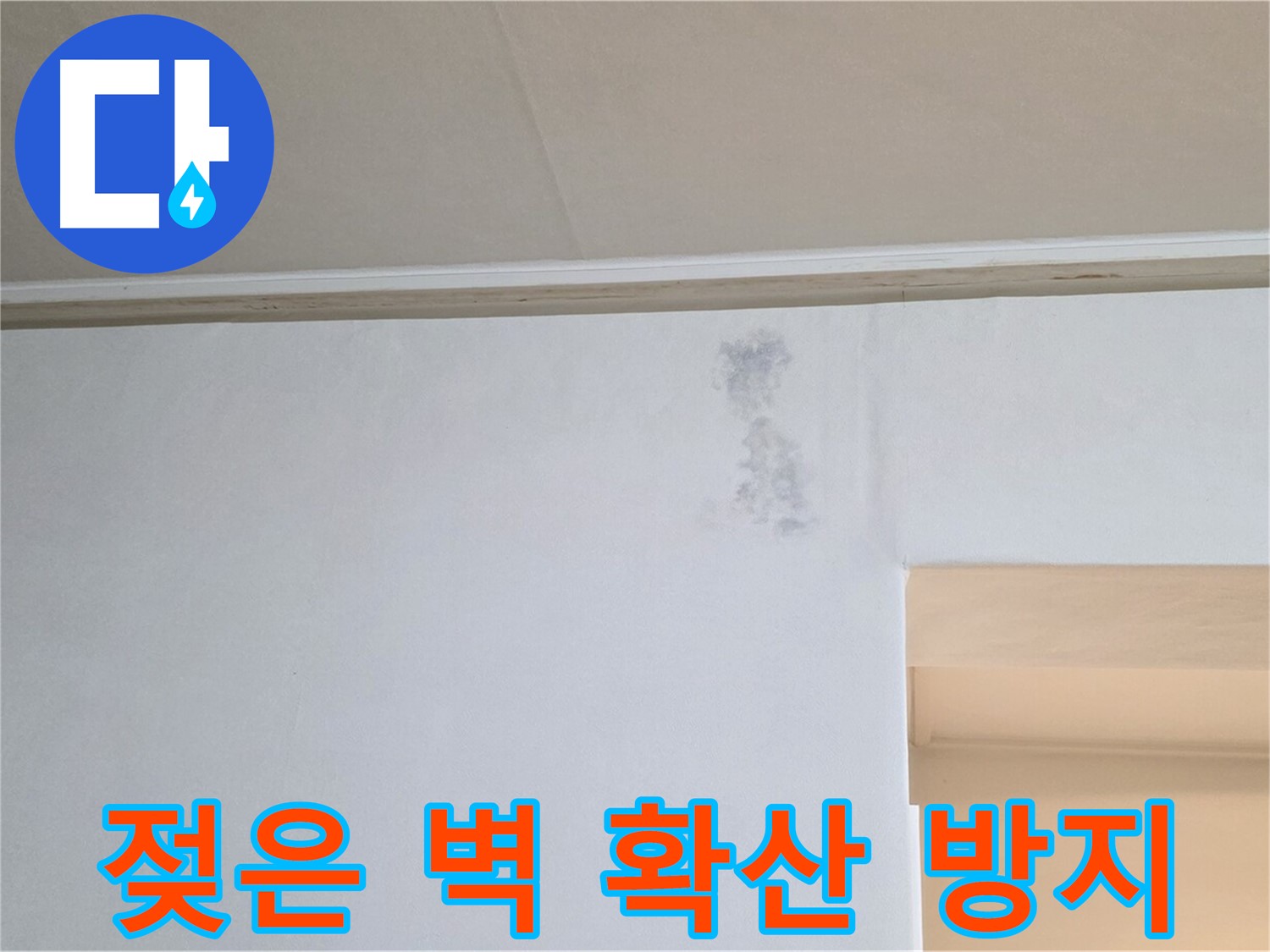 젖은 벽 확산 방지를 위한 신속한 방문 - 빠른 해결