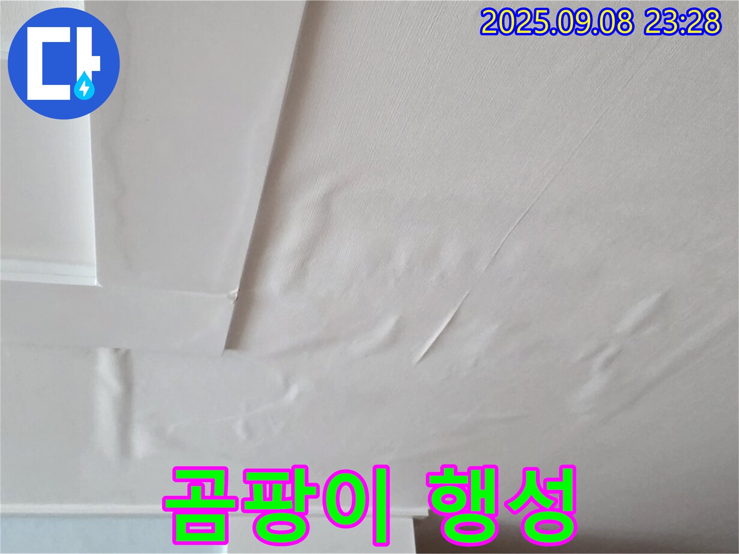 포천 일동 - 곰팡이 행성 - 건강 위협 - 누수 해결 필수